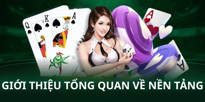 Giới thiệu tổng quan về nền tảng