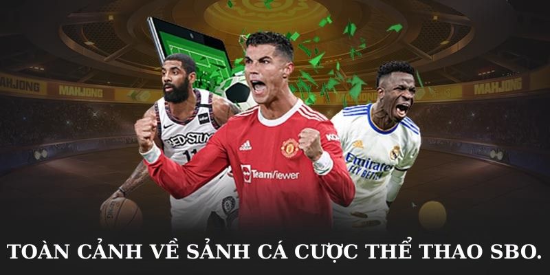 Toàn cảnh về sảnh cá cược thể thao SBO.